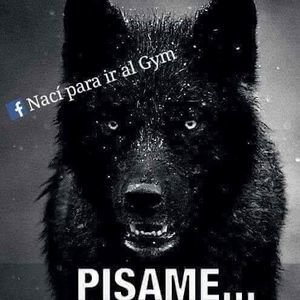 Meet your Posher, Gabriel